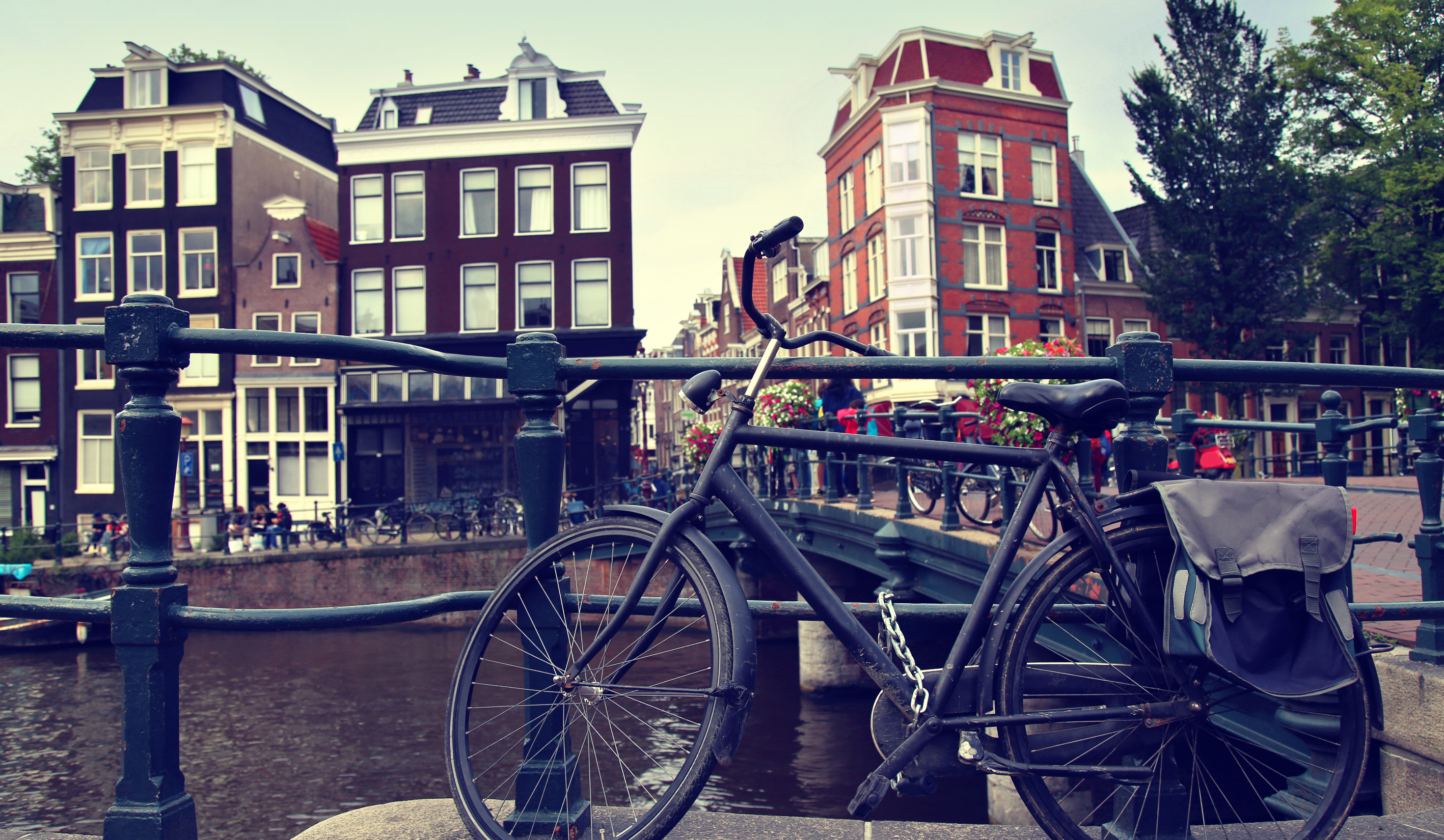 What can we learn from the Dutch? – Steadyrack