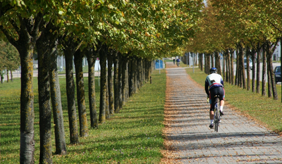 A Cyclist's Complete Guide To Bike Storage [2 Steps]